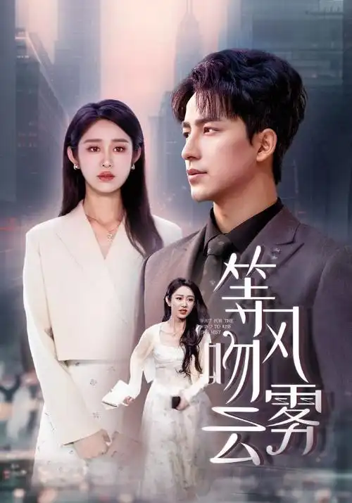热播电视剧全集无声证词免费在线观看